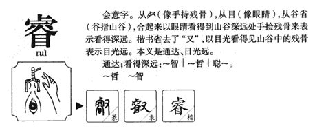 睿筆畫五行|睿字的五行屬性是什麼